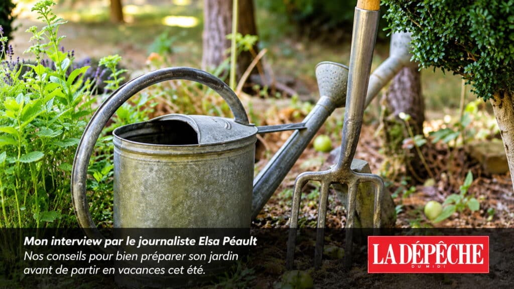 Conseils jardinage avec le départ en vacances à Toulouse Julien Jardinier Bio Jardinier Paysagiste