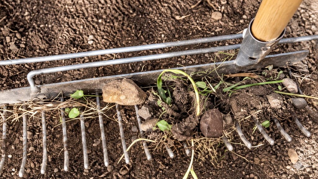 Créer un gazon sans produit phytosanitaire à Toulouse Julien Jardinier Bio Jardinier Paysagiste