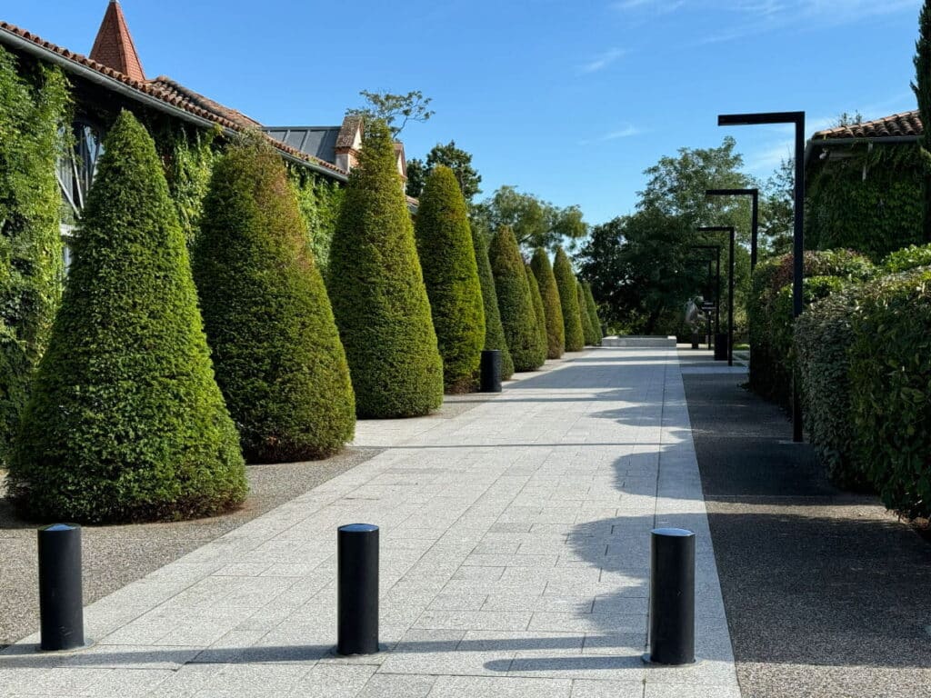 ENtretien espaces verts à Toulouse par le jardinier paysagiste julien jardinier bio