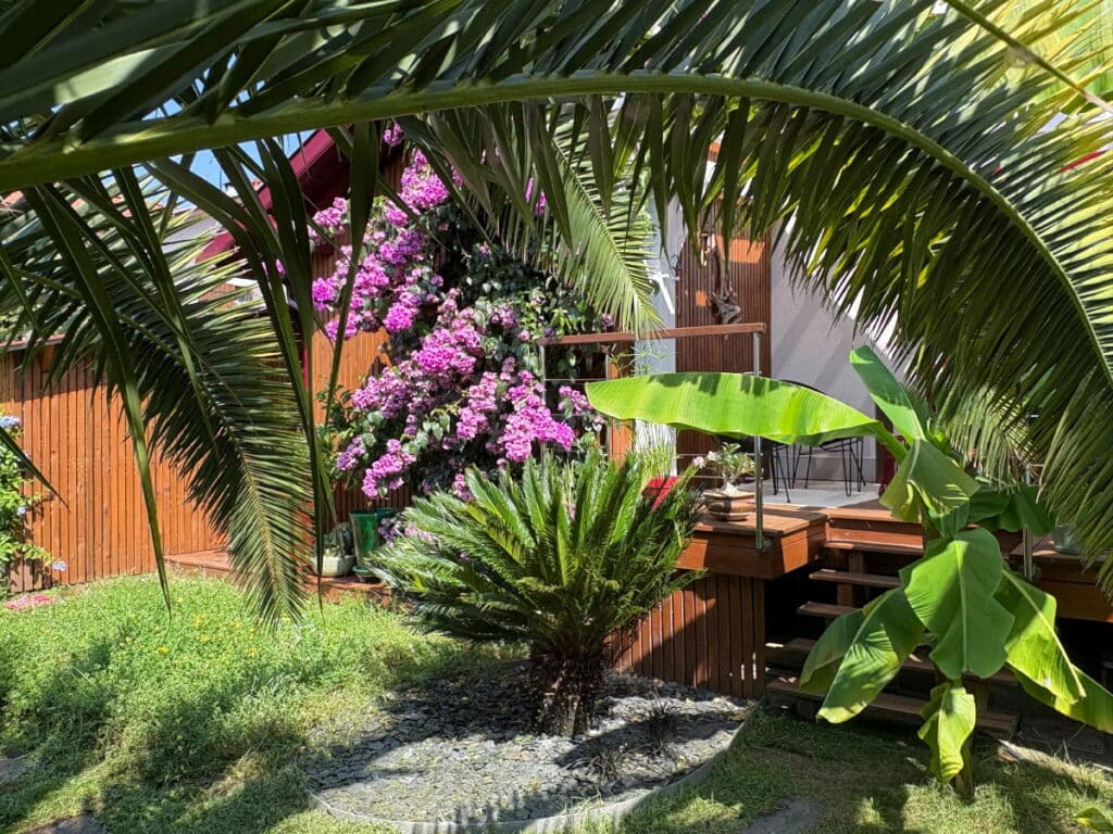 Jardin méditerranéen 7 ans d'age réaliser par Julien jardinier bio jardinier paysagiste à Toulouse