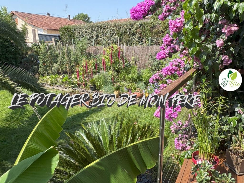 Le potager bio de mon père Toulouse