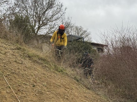 JJBIO SAP Débroussaillage