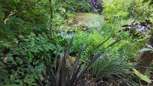 JJBIO Cultivons l'eau !