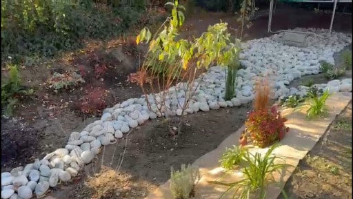 JJBIO Jardin de pluie