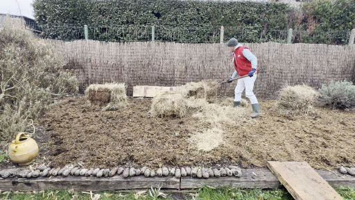 JJBIO Paillage foin potager