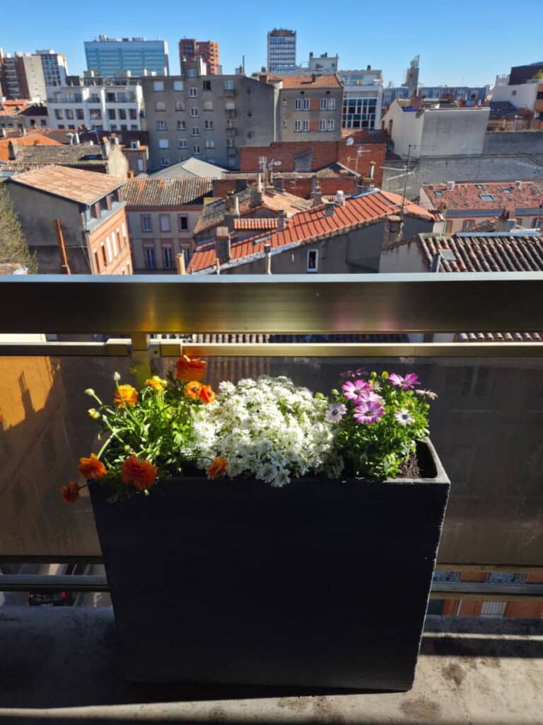 Composition florale avec jardinière minérale à Toulouse par Julien jardinier bio