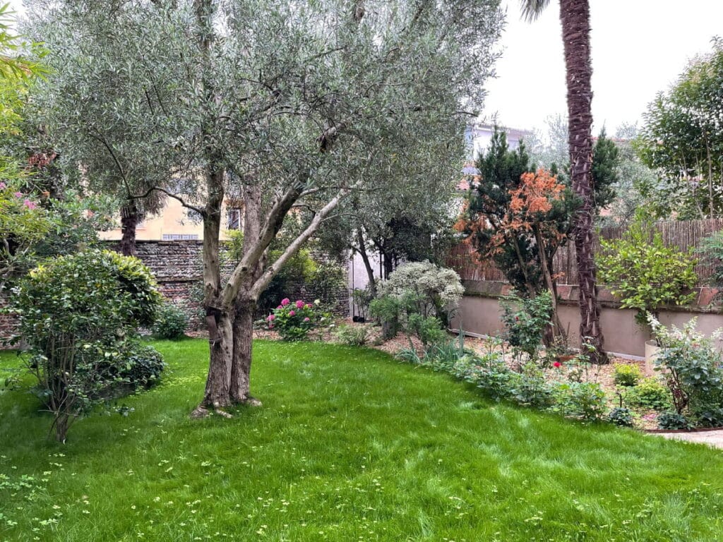Création de jardin Toulouse centre au Grand Rond par Julien Jardinier BIo jardinier Paysagiste à Toulouse