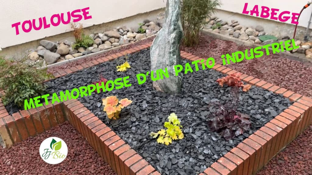 Métamorphose patio industriel Toulouse Labège par Julien jardinier bio