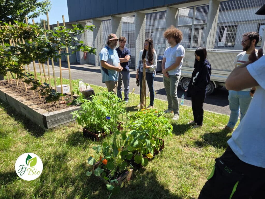 Création d’un jardin nourricier bio d’entreprise au CEA Toulouse Labège par Julien Jardinier Bio